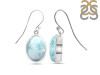 Close Out Larimar Earring LAR-CO-RDE-1233.