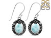 Close Out Larimar Earring LAR-CO-RDE-180.