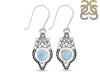Close Out Larimar Earring LAR-CO-RDE-218.