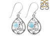 Close Out Larimar Earring LAR-CO-RDE-219.