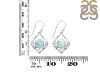 Close Out Larimar Earring LAR-CO-RDE-228.