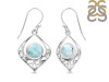 Close Out Larimar Earring LAR-CO-RDE-228.