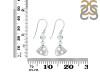 Close Out Larimar Earring LAR-CO-RDE-464.