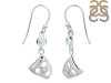 Close Out Larimar Earring LAR-CO-RDE-464.