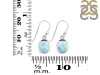 Close Out Larimar Earring LAR-CO-RDE-683.