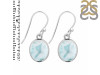 Close Out Larimar Earring LAR-CO-RDE-779.