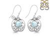 Close Out Larimar Earring LAR-CO-RDE-88.