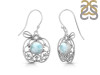 Close Out Larimar Earring LAR-CO-RDE-88.