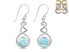 Close Out Larimar Earring LAR-CO-RDE-97.