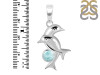 Close Out Larimar Pendant LAR-CO-RDP-146.