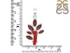 Red Coral/Garnet Pendant-2SP COR-1-103