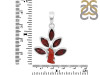Red Coral/Garnet Pendant-2SP COR-1-106