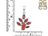 Red Coral/Garnet Pendant-2SP COR-1-111