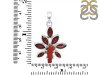 Red Coral/Garnet Pendant-2SP COR-1-112