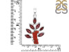 Red Coral/Garnet Pendant-2SP COR-1-76