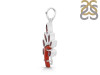 Red Coral/Garnet Pendant-2SP COR-1-76