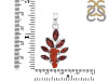 Red Coral/Garnet Pendant-2SP COR-1-78