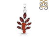 Red Coral/Garnet Pendant-2SP COR-1-78
