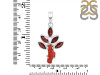 Red Coral/Garnet Pendant-2SP COR-1-79