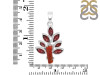 Red Coral/Garnet Pendant-2SP COR-1-86