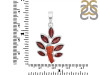 Red Coral/Garnet Pendant-2SP COR-1-87