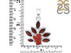 Red Coral/Garnet Pendant-2SP COR-1-89