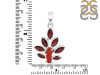 Red Coral/Garnet Pendant-2SP COR-1-94