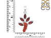 Red Coral/Garnet Pendant-2SP COR-1-95
