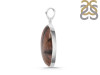 Chiastolite Pendant-SP CSL-1-27