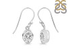 Crystal Earring CST-RDE-1316.