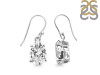 Crystal Earring CST-RDE-869.