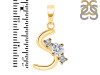 Cubic Zirconia Alphabet S Pendant CUZ-RDA-71.