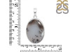 Dendritic Agate Pendant-SP DDA-1-135