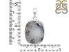Dendritic Agate Pendant-SP DDA-1-14