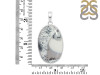 Dendritic Agate Pendant-SP DDA-1-225