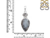 Dendritic Agate Pendant-2SP DDA-1-34