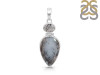 Dendritic Agate Pendant-2SP DDA-1-34