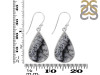 Dendritic Agate Earring-E DDA-3-102