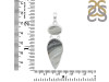 Desert Druzy Pendant-2SP DDZ-1-66