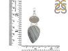 Desert Druzy/Moonstone Pendant-2SP DDZ-1-71