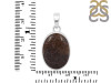 Dinosaur Bone Pendant-SP DSB-1-1