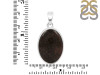 Dinosaur Bone Pendant-SP DSB-1-15
