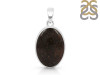 Dinosaur Bone Pendant-SP DSB-1-15