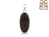 Dinosaur Bone Pendant-SP DSB-1-17