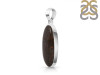 Dinosaur Bone Pendant-SP DSB-1-17