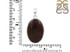 Dinosaur Bone Pendant-SP DSB-1-22