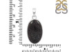 Dinosaur Bone Pendant-SP DSB-1-24