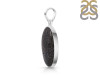 Dinosaur Bone Pendant-SP DSB-1-24