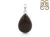 Dinosaur Bone Pendant-SP DSB-1-27