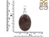 Dinosaur Bone Pendant-SP DSB-1-29